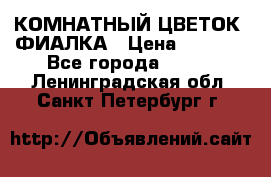 КОМНАТНЫЙ ЦВЕТОК -ФИАЛКА › Цена ­ 1 500 - Все города  »    . Ленинградская обл.,Санкт-Петербург г.